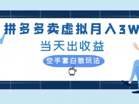 拼多多虚拟项目,单人月入3W+,实操落地项目