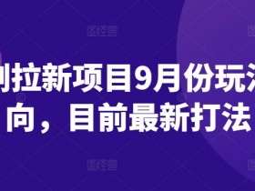 短剧拉新项目9月份玩法方向，目前最新打法
