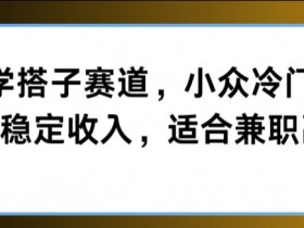 玄学搭子赛道,小众冷门,每天稳定收入,适合兼职副业
