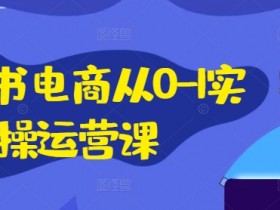 小红书电商从0-1实操运营课，小红书手机实操小红书/IP和私域课/小红书电商电脑实操板块等