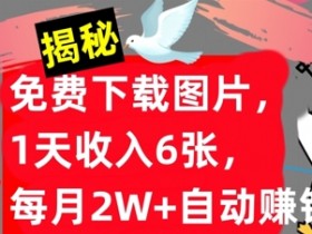免费下载图片,1天收入6张,每月2W+自动赚钱,实战教程(揭秘)