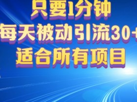 只要1分钟,不需要重复操作,每天被动引流30+(适合任何项目)