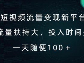 短视频流量变现新平台,流量扶持大,投入时间少,AI一件创作爆款视频,每天领个低保【揭秘】
