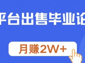 多平台出售毕业论文,月赚2W+