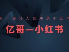 带一部分人先冲进小红书,小红书开店、选品、爆款裂变