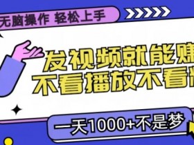 无脑操作，发视频就能赚钱，不看播放不看粉丝，小白轻松上手