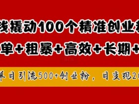 1块钱撬动100个精准创业粉,简单粗暴高效长期精准,单人单日引流500+创业粉,日变现2k【揭秘】
