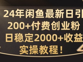 24年闲鱼最新日引200+付费创业粉日稳2000+收益,实操教程【揭秘】