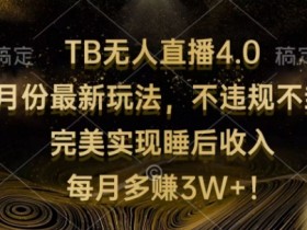 TB无人直播4.0九月份最新玩法,不违规不封号,完美实现睡后收入