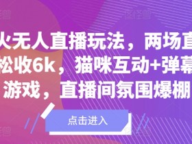 爆火无人直播玩法,两场直播轻松收6k,猫咪互动+弹幕小游戏,直播间氛围爆棚!