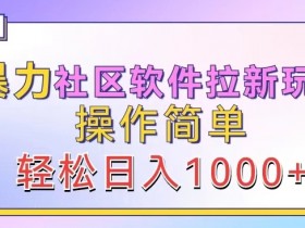 暴力社区软件拉新玩法,操作简单,轻松日入1k