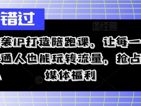 逆袭IP打造陪跑课,让每一个普通人也能玩转流量,抢占自媒体福利