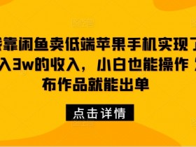 我靠闲鱼卖低端苹果手机实现了月入3w的收入,小白也能操作 发布作品就能出单