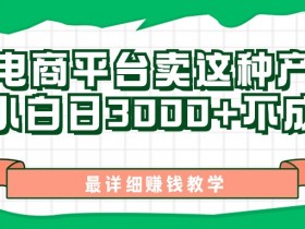最新在电商平台发布这种产品,新手小白日入3k不成问题,最详细赚钱教学