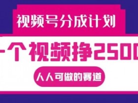 视频号分成计划,一个视频挣2500+,人人可做的赛道【揭秘】