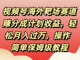 视频号海外靶场赛道赚分成计划收益，轻松月入过万，操作简单保姆级教程