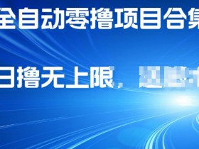 全自动零撸项目合集，轻松日撸2张