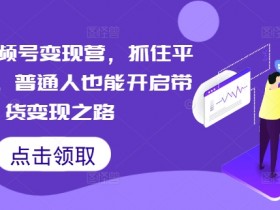 微信视频号变现营,抓住平台优势,普通人也能开启带货变现之路