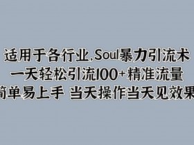 Soul暴力引流术,一天轻松引流100+精准流量,简单易上手 当天操作当天见效果!