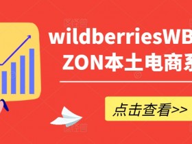 wildberriesWB野莓/OZON本土电商系列课，掌握WB产品优化，出单技巧和订单处理等