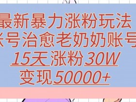 最新暴力涨粉玩法,治愈老奶奶账号,15天涨粉30W,变现至少五位数+