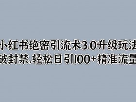 小红书绝密引流术3.0升级玩法,破封禁,轻松日引100+精准流量