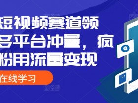 抖音短视频赛道领域,多平台冲量,疯狂涨粉用流量变现