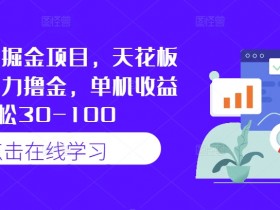 快手最新掘金项目，天花板玩法，暴力撸金，单机收益轻松30-100