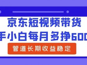 新手小白每月多挣6000+京东短视频带货,可管道长期稳定收益