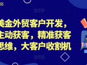 百万美金外贸客户开发,外贸主动获客,精准获客系统思维,大客户收割机
