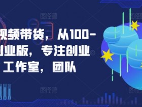 京东短视频带货,从100-1000创业版,专注创业者,工作室,团队