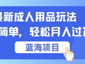 最新成人用品项目玩法,操作简单,动动手,轻松日入几张【揭秘】