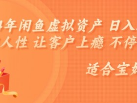 2024年闲鱼虚拟资产 日入几张 利用人性 让客户上瘾 不停地复购