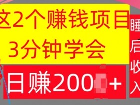 这2个项目，3分钟学会，日赚几张，懒人捡钱