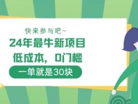 24年最牛新项目,低成本,0门槛 ,一单就是30块,轻松月入1w