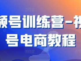 视频号训练营-视频号电商教程