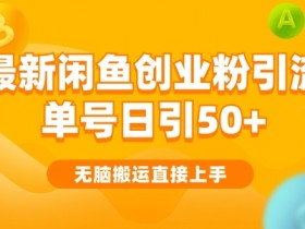 2024闲鱼最新引流玩法搬运模式,无脑操作,单号日引50+创业粉,可矩阵