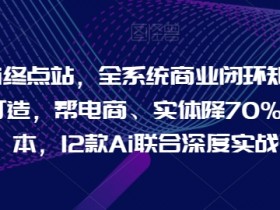 Ai终点站,全系统商业闭环矩阵打造,帮电商、实体降70%成本,12款Ai联合深度实战【0906更新】