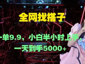 全网找搭子，一单9.9.小白半小时上手，一天到手几张