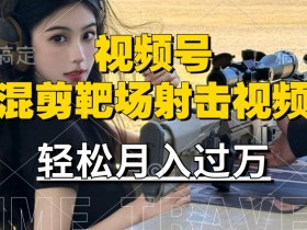 利用海外靶场射击视频,赚视频号分成收益,操作简单,适合宝妈,上班族【揭秘】