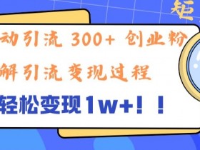 单日被动引流 300+ 创业粉,轻松变现1w+,矩阵操作详细拆解引流变现过程
