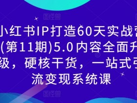 小红书IP打造60天实战营(第11期)5.0内容全面升级,硬核干货,一站式引流变现系统课