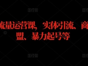 实体流量运营课,实体引流、商家加盟、暴力起号等
