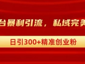 跨平台暴力引流,私域完美闭环,日引100+精准创业粉