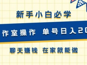 新手小白必学 可工作室操作 单号日入2张 聊天赚钱 在家就能做