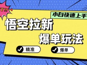 悟空拉新爆单玩法,精准引流,小白分分钟上手