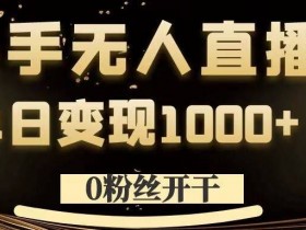 0粉丝开干,快手无人直播,单日变现1k+【揭秘】