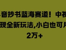 抖音抄书蓝海赛道,中视频变现全新玩法,小白也可月入2W+