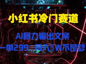 小红书冷门赛道，AI暴力输出文案，一单299，月入1W