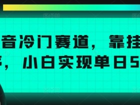 抖音冷门赛道,靠挂载小程序,小白实现单日5张收益
